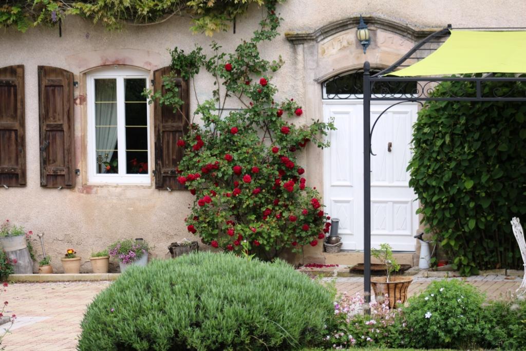 Le Clos D'Albray - Chambres D'Hotes Et Gite Comps-la-Grand-Ville Exteriér fotografie